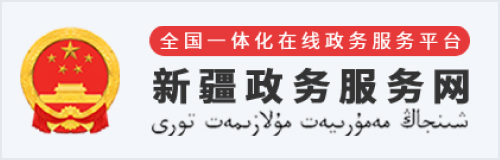 新疆政務(wù)服務(wù)網(wǎng)
