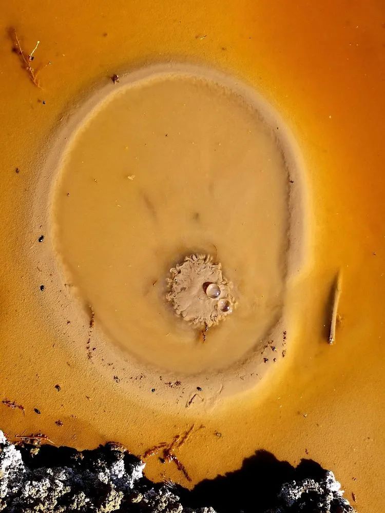 DM_20240129112417_009