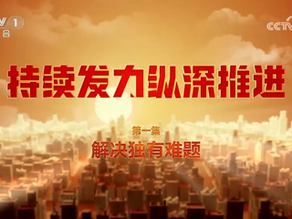 《持續(xù)發(fā)力縱深推進(jìn)》 第1集 解決獨(dú)有難題