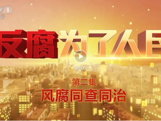 第二集《風(fēng)腐同查同治》