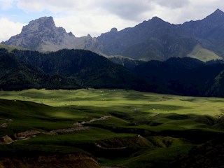 天山腳下的牧場