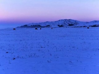 相約去烏蘇大峽谷看雪